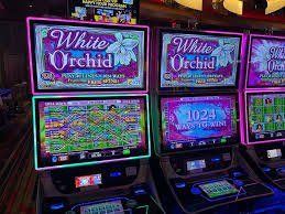 Demonstrasi fitur Free Spins dan Multiplier dalam permainan Buffalo King